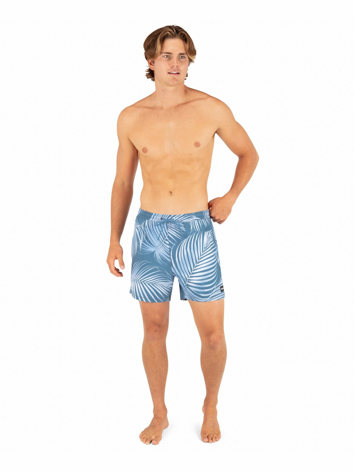 Hurley Mens Cannonball Lined Volley 17"