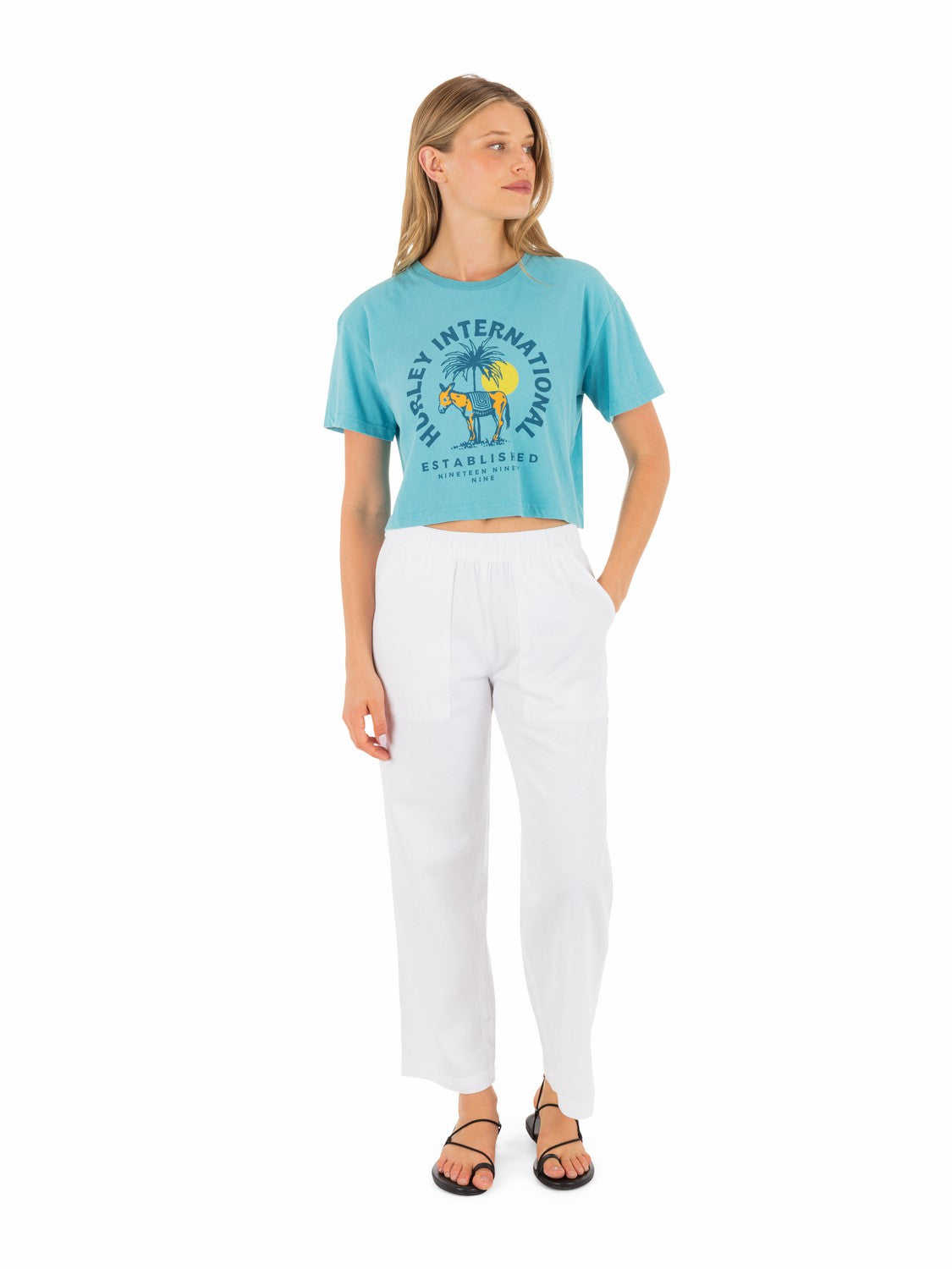 Hurley Womens Burro Boxy Crop Tee