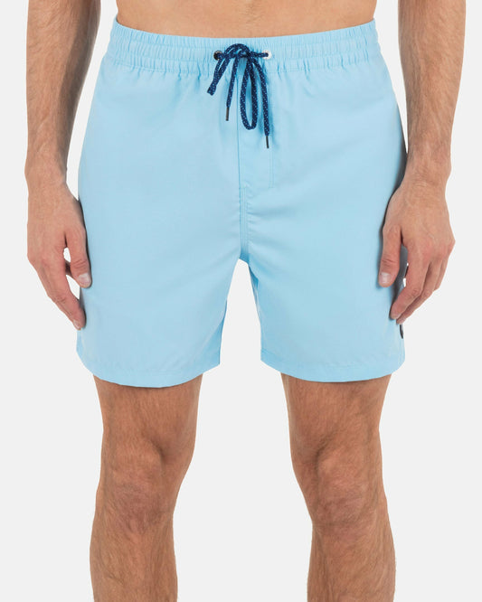 Hurley Mens Icon Balboa Volley Boardshorts 17"
