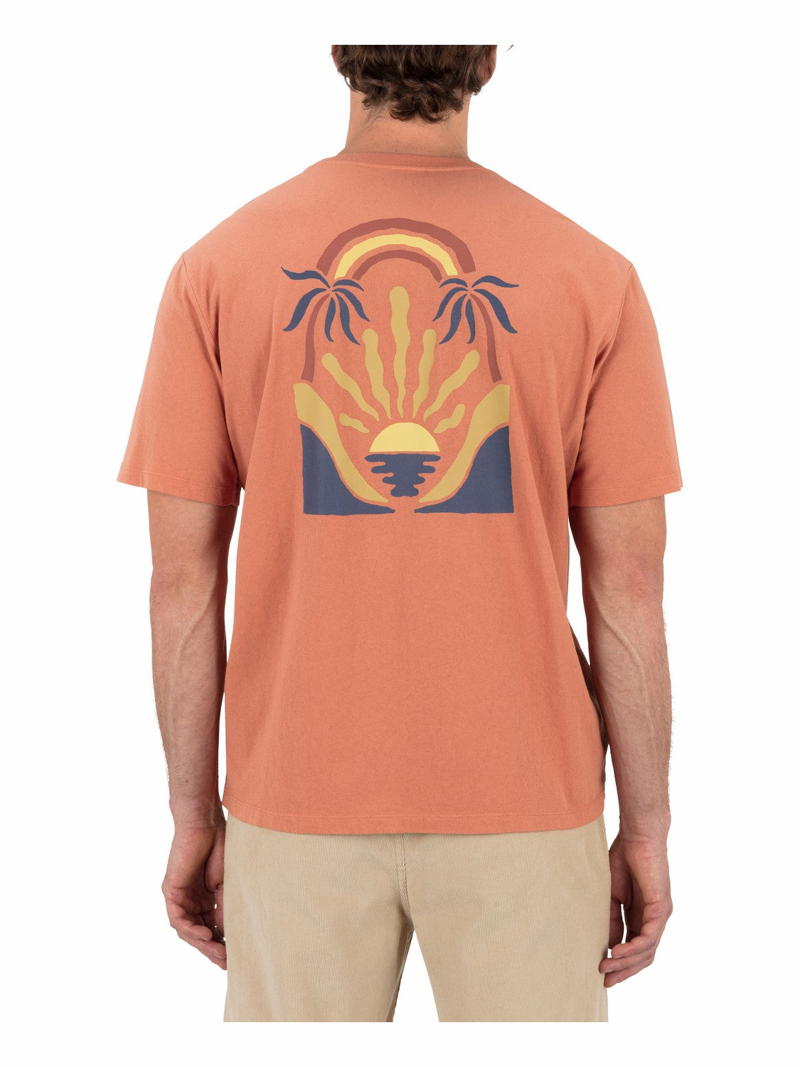Hurley Mens Valley Of Water Short Sleeve