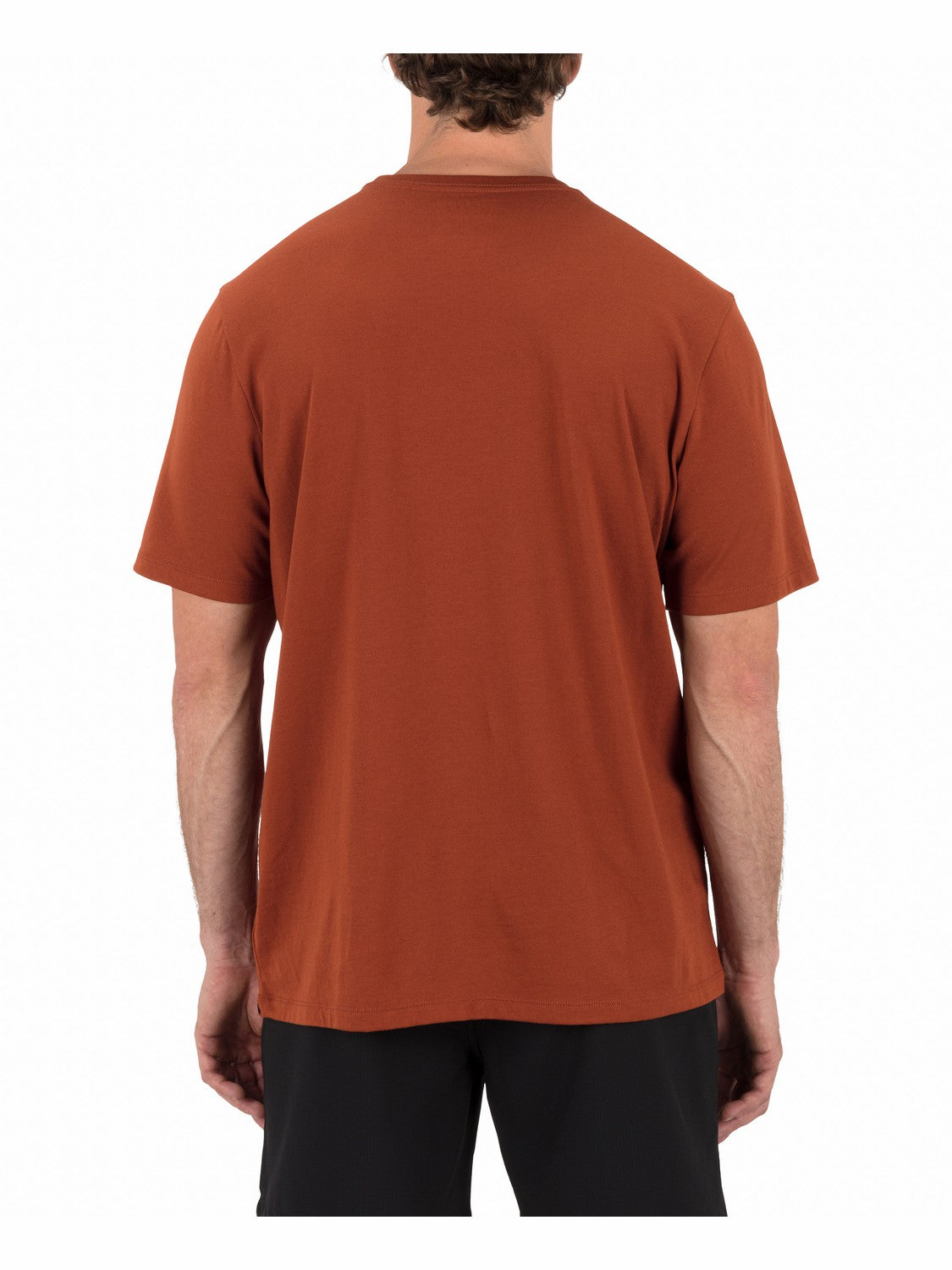 Hurley Mens H2O Dri El Tigre No Se Short Sleeve