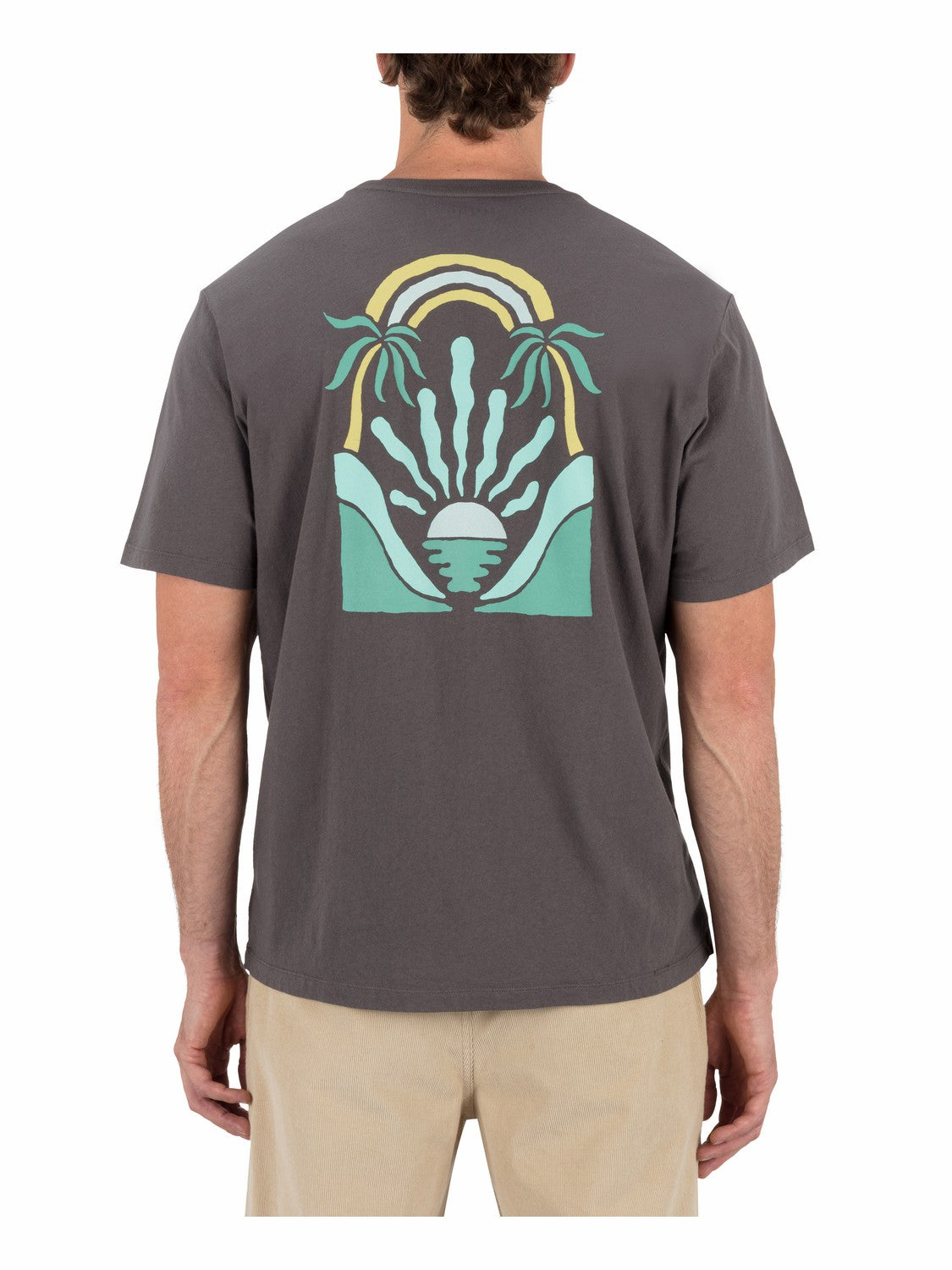 Hurley Mens Valley Of Water Short Sleeve