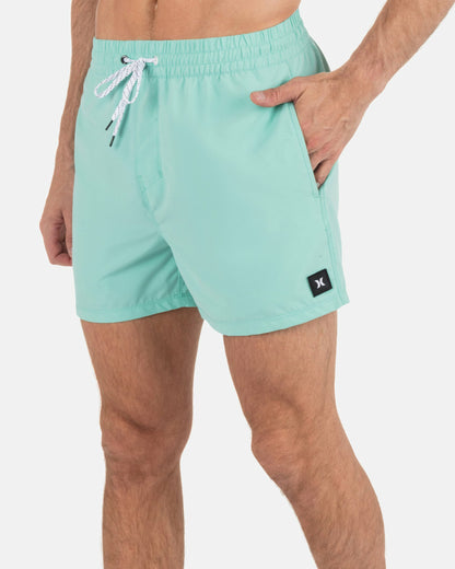Hurley Mens Icon Balboa Volley Boardshort 15"