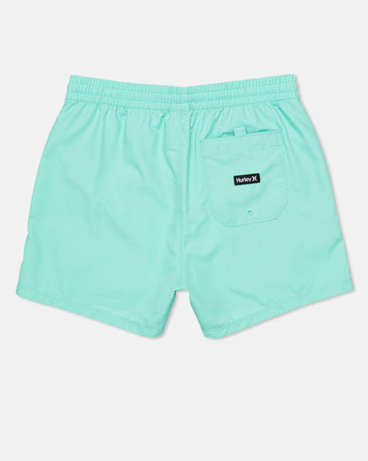 Hurley Mens Icon Balboa Volley Boardshort 15"