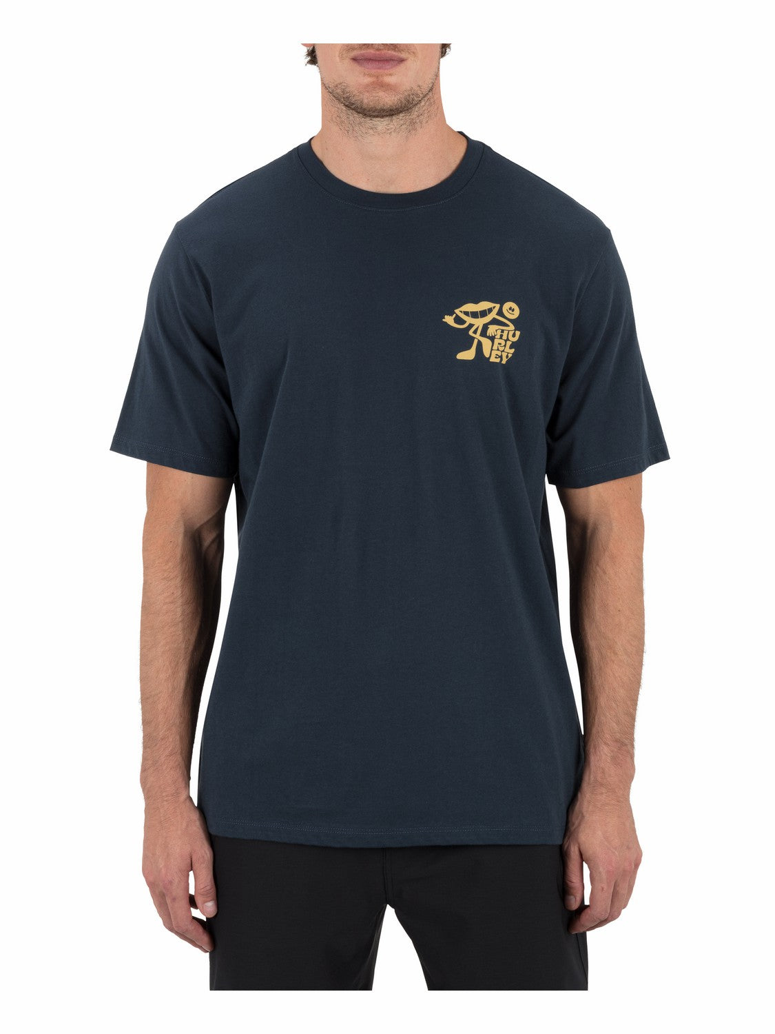 Hurley Mens All Smiles Short Sleeve