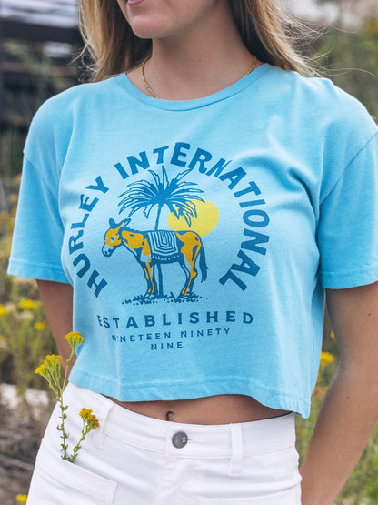 Hurley Womens Burro Boxy Crop Tee